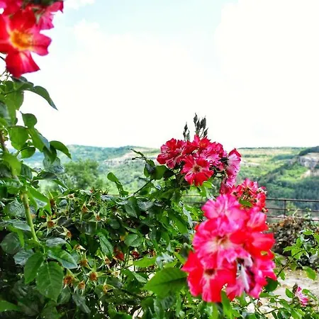 Ross Holiday home Veliko Tarnovo